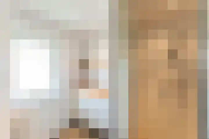 Molenlaan 15 Groot-Ammers thumbnail 27