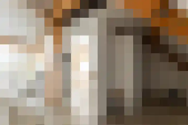 Molenlaan 15 Groot-Ammers thumbnail 31
