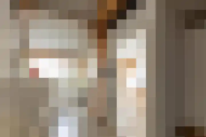 Molenlaan 15 Groot-Ammers thumbnail 32