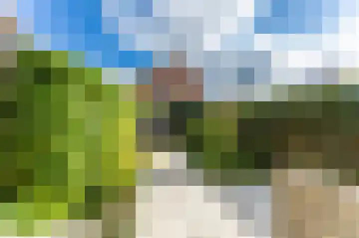 Molenlaan 15 Groot-Ammers thumbnail 39