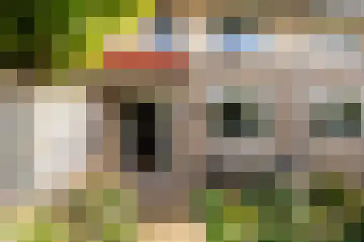 Molenlaan 15 Groot-Ammers thumbnail 43