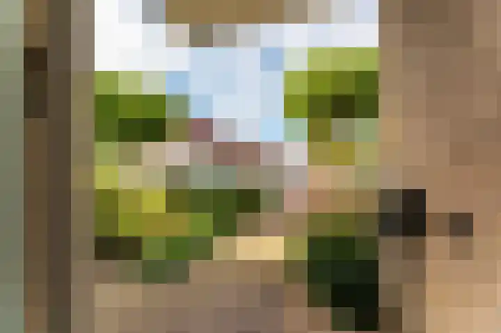 Molenlaan 15 Groot-Ammers thumbnail 45