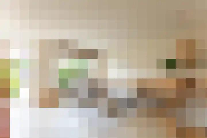 Molenlaan 15 Groot-Ammers thumbnail 6