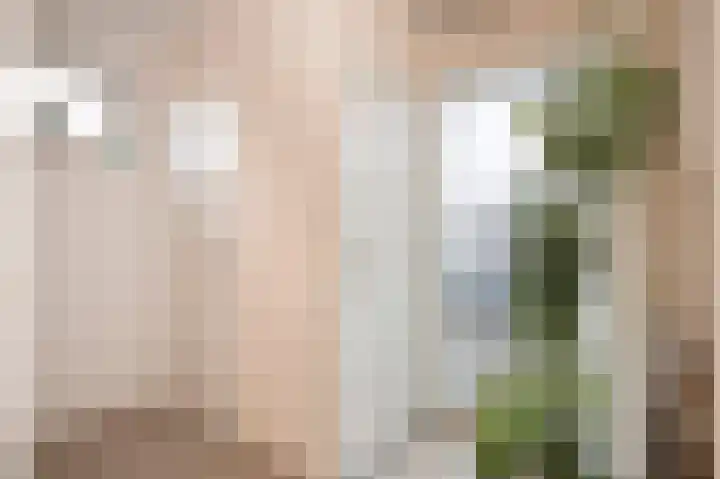 Molenlaan 18 Susteren thumbnail 25