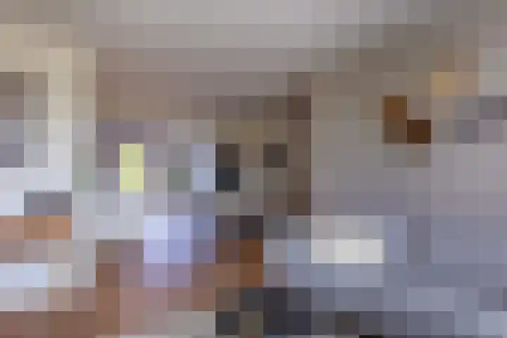 Molenlaan 2 Mildam thumbnail 13