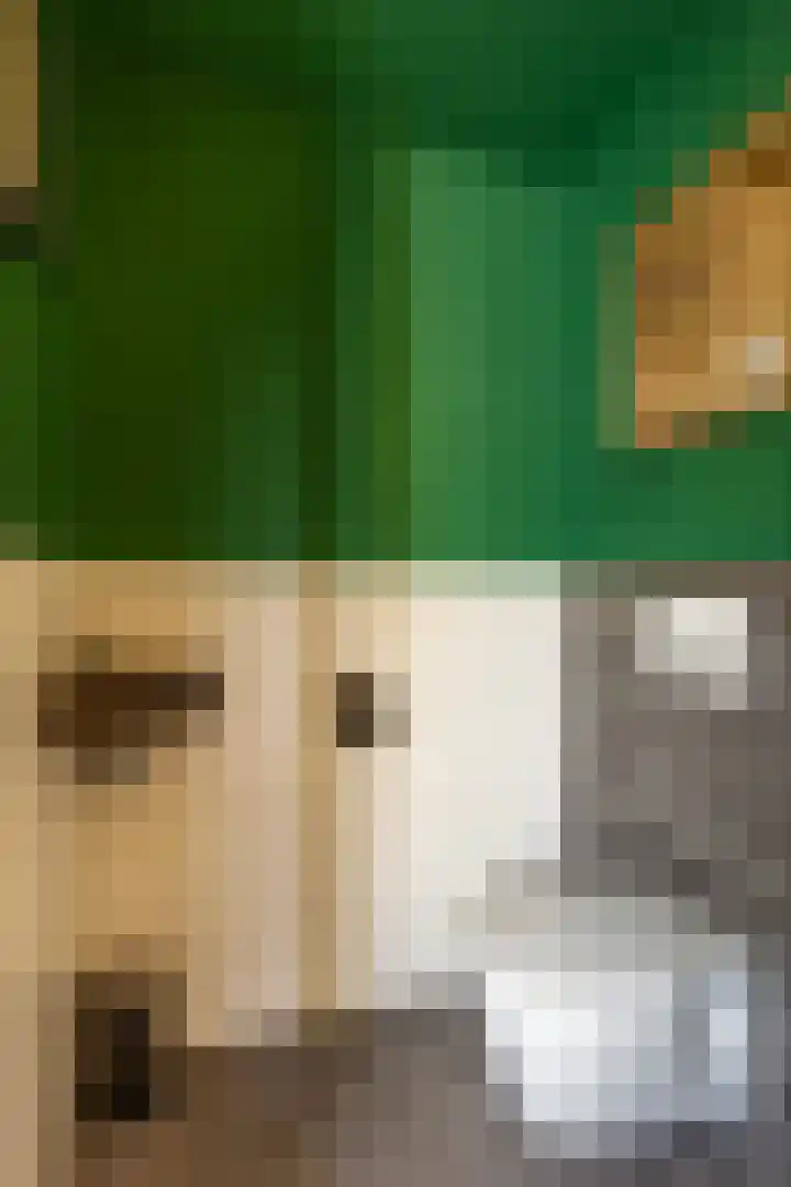 Molenlaan 2 Mildam thumbnail 21