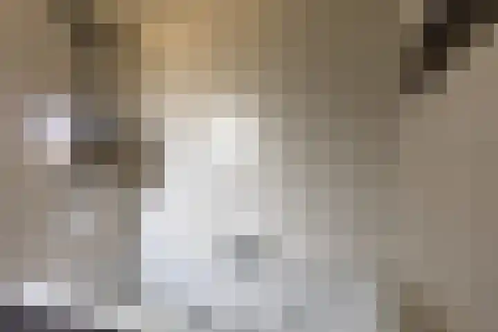 Molenlaan 2 Mildam thumbnail 24