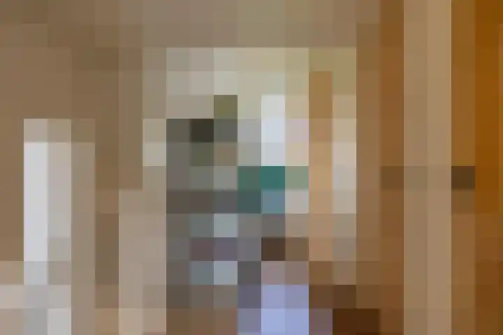 Molenlaan 2 Mildam thumbnail 25