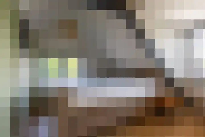 Molenlaan 2 Mildam thumbnail 27