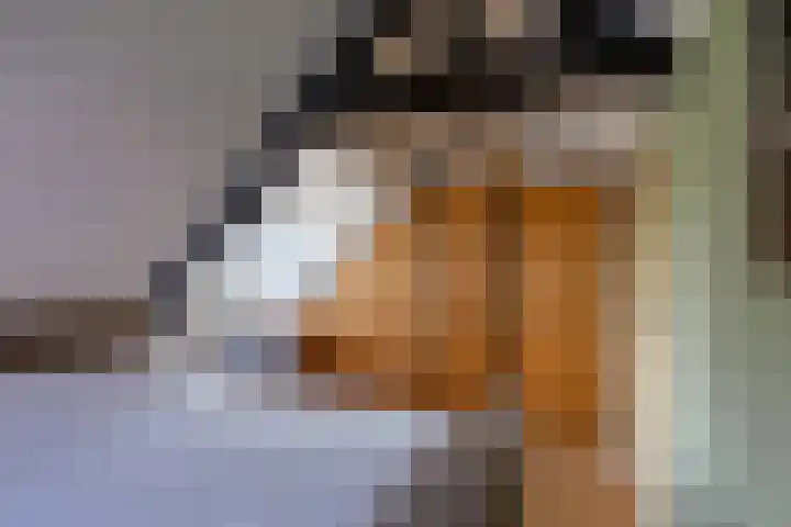 Molenlaan 2 Mildam thumbnail 28