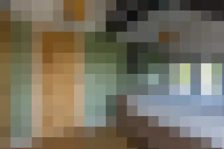 Molenlaan 2 Mildam thumbnail 29