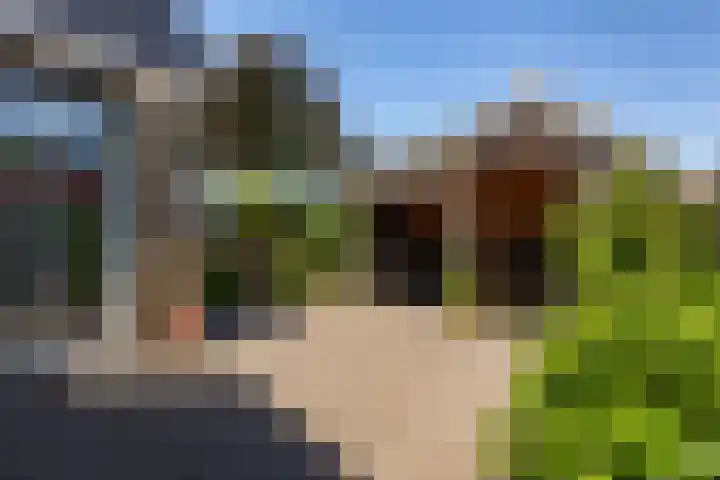Molenlaan 2 Mildam thumbnail 37