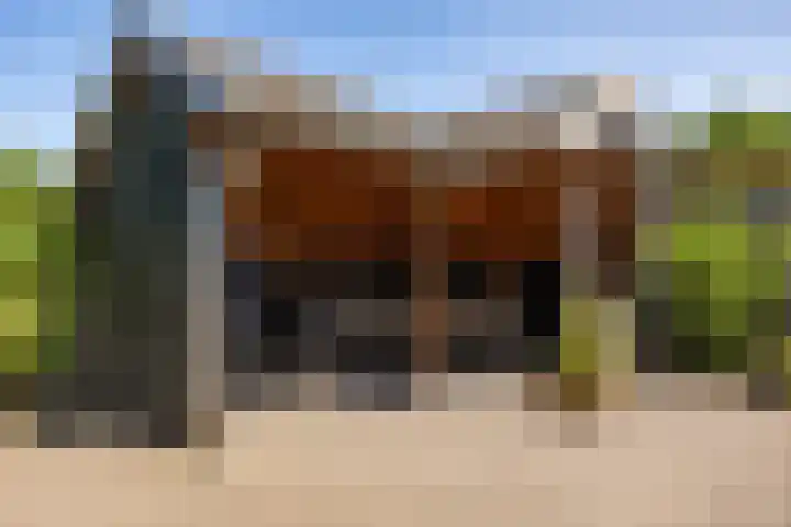 Molenlaan 2 Mildam thumbnail 38