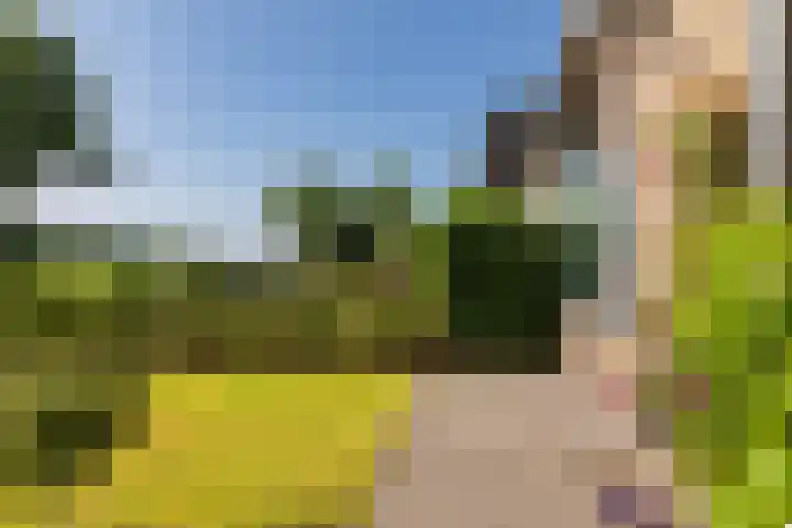 Molenlaan 2 Mildam thumbnail 43