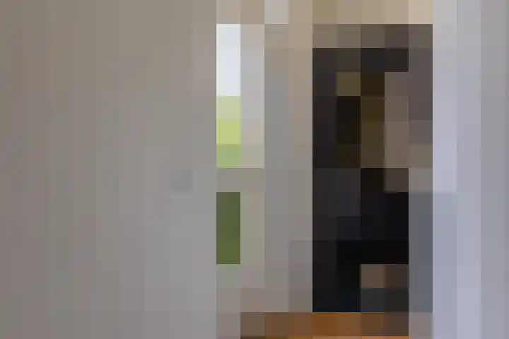 Molenlaan 2 Mildam thumbnail 9