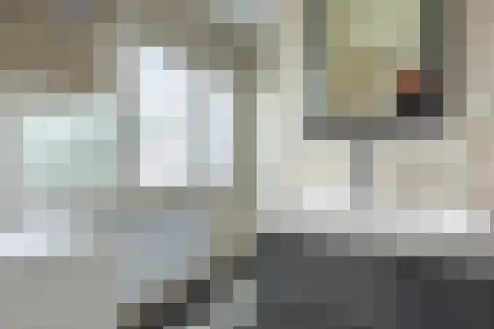 Molenlaan 26 Bussum thumbnail 29