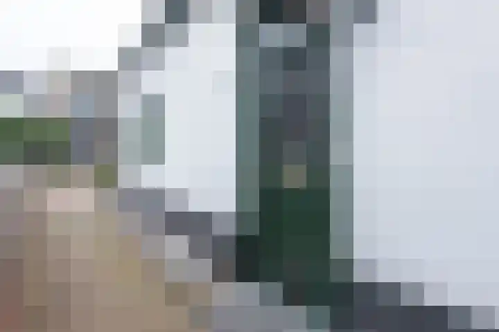 Molenlaan 26 Bussum thumbnail 5