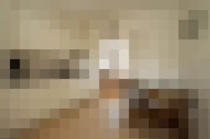 Molenlaan 52 Deurne thumbnail 10