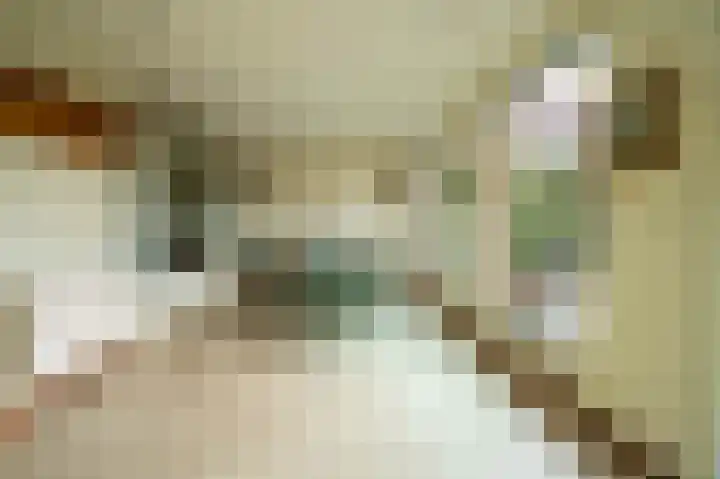 Molenlaan 52 Deurne thumbnail 12