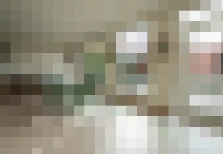 Molenlaan 52 Deurne thumbnail 14