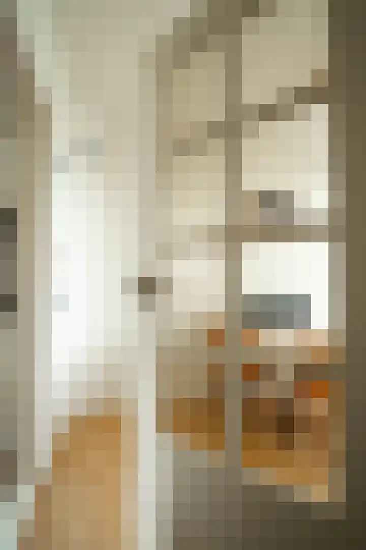Molenlaan 52 Deurne thumbnail 15