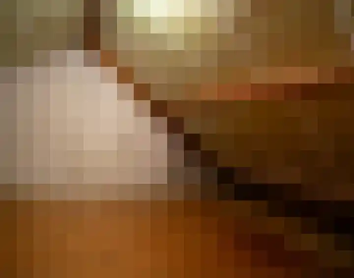 Molenlaan 52 Deurne thumbnail 29