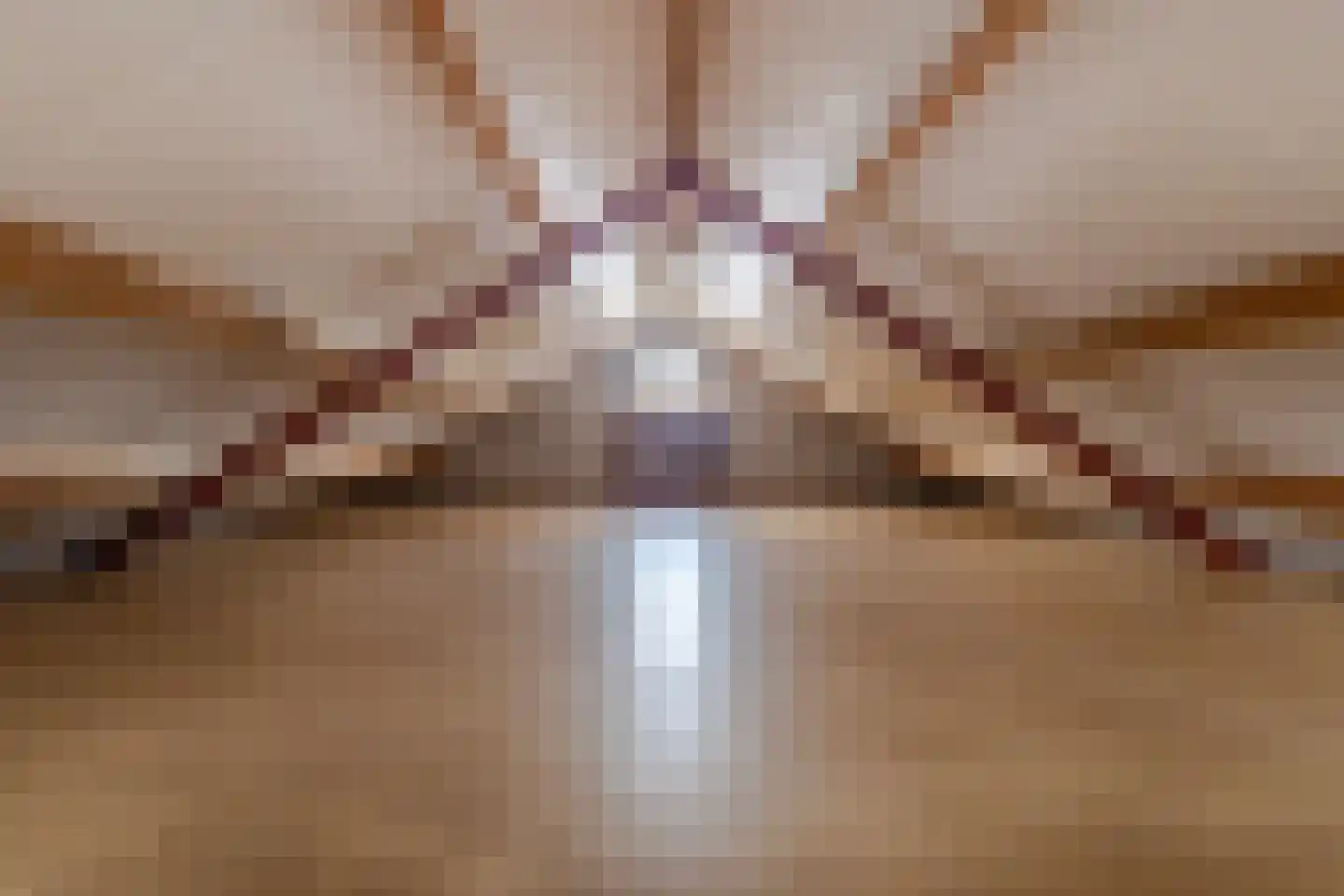 Molenlaan 8 dans Meeden