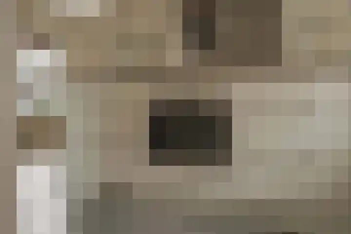 Molenlaan 8 Meeden thumbnail 13