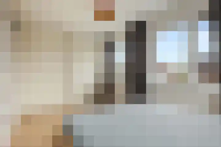 Molenlaan 8 Meeden thumbnail 18