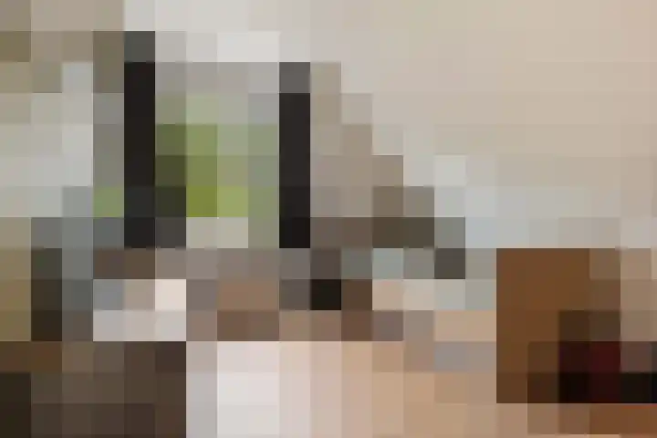 Molenlaan 8 Meeden thumbnail 19