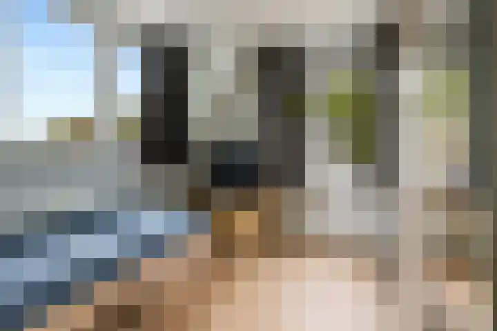 Molenlaan 8 Meeden thumbnail 20