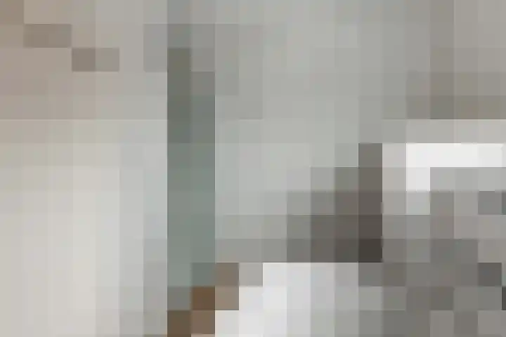 Molenlaan 8 Meeden thumbnail 22