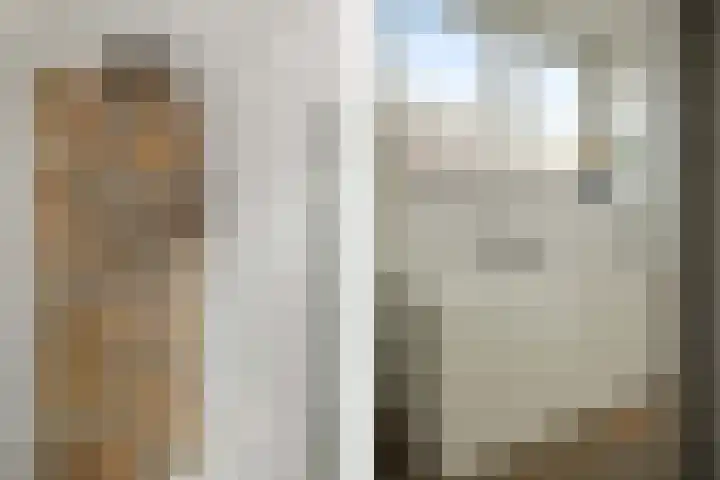 Molenlaan 8 Meeden thumbnail 23