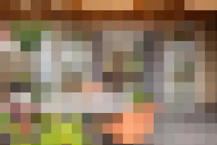 Molenlaan 8 Meeden thumbnail 26