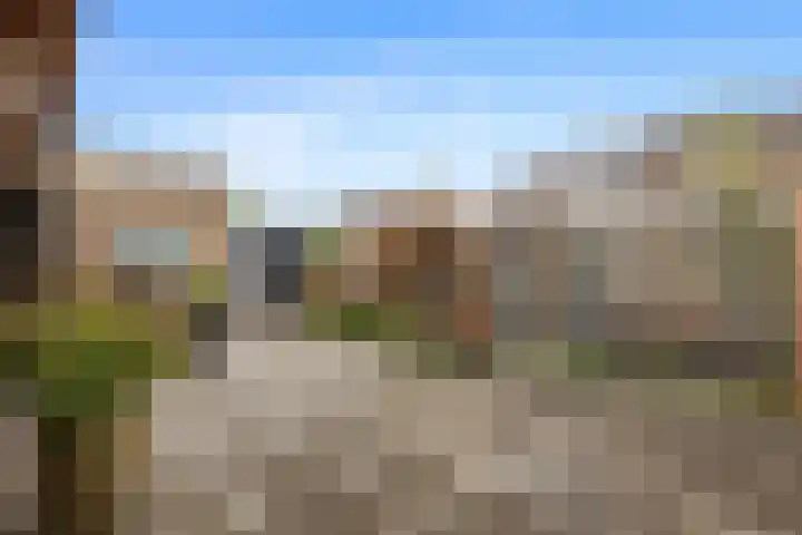 Molenlaan 8 Meeden thumbnail 28
