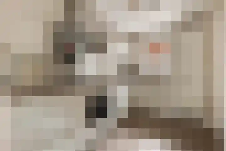 Molenlaan 8 Meeden foto 3