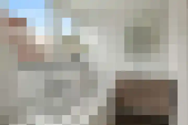 Molenlaan 8 Meeden thumbnail 4