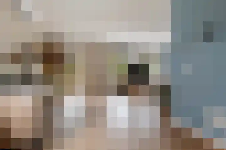 Molenlaan 8 Meeden thumbnail 7
