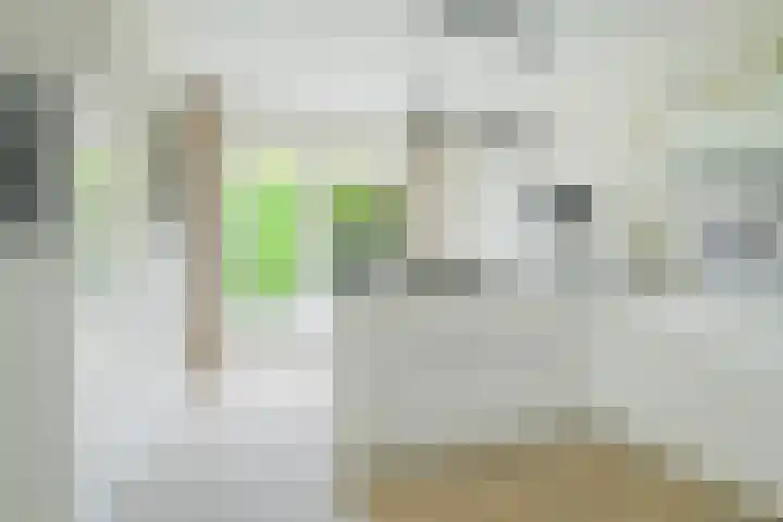 Molenleij 3 Dorst thumbnail 13