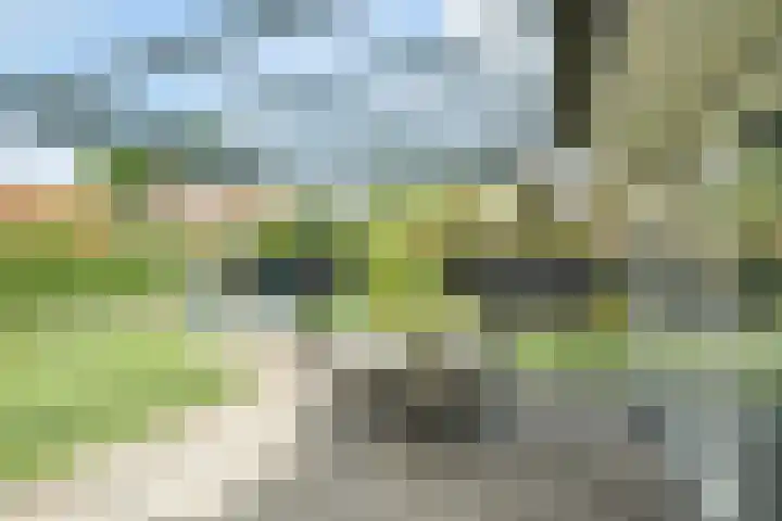 Molenleij 3 Dorst thumbnail 28