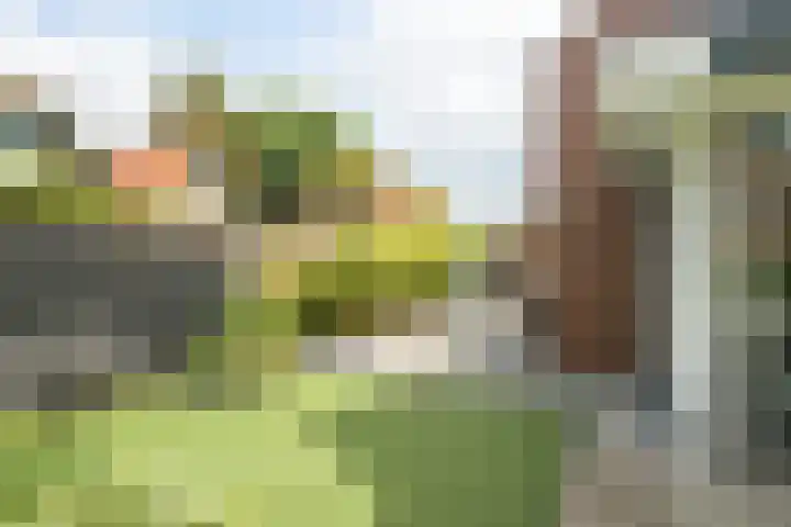 Molenleij 3 Dorst thumbnail 29