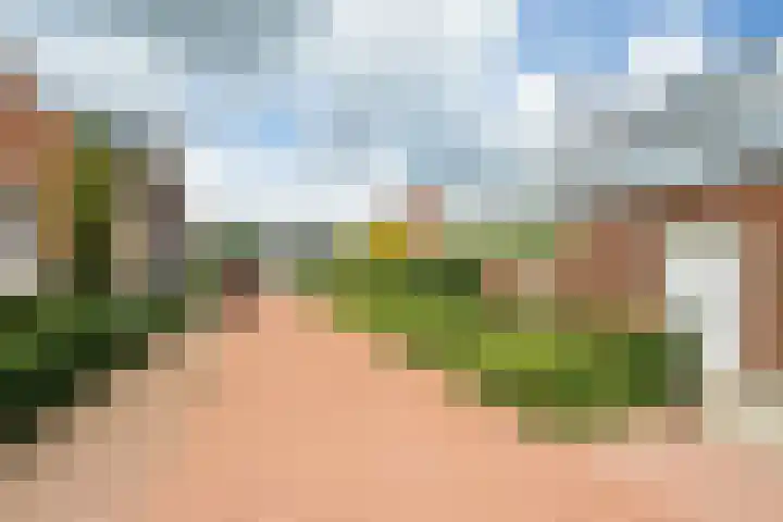 Molenleij 3 Dorst thumbnail 30