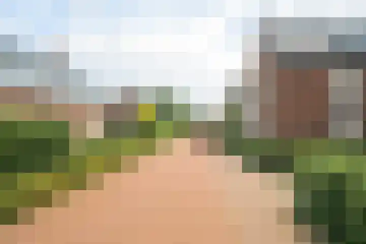 Molenleij 3 Dorst thumbnail 31