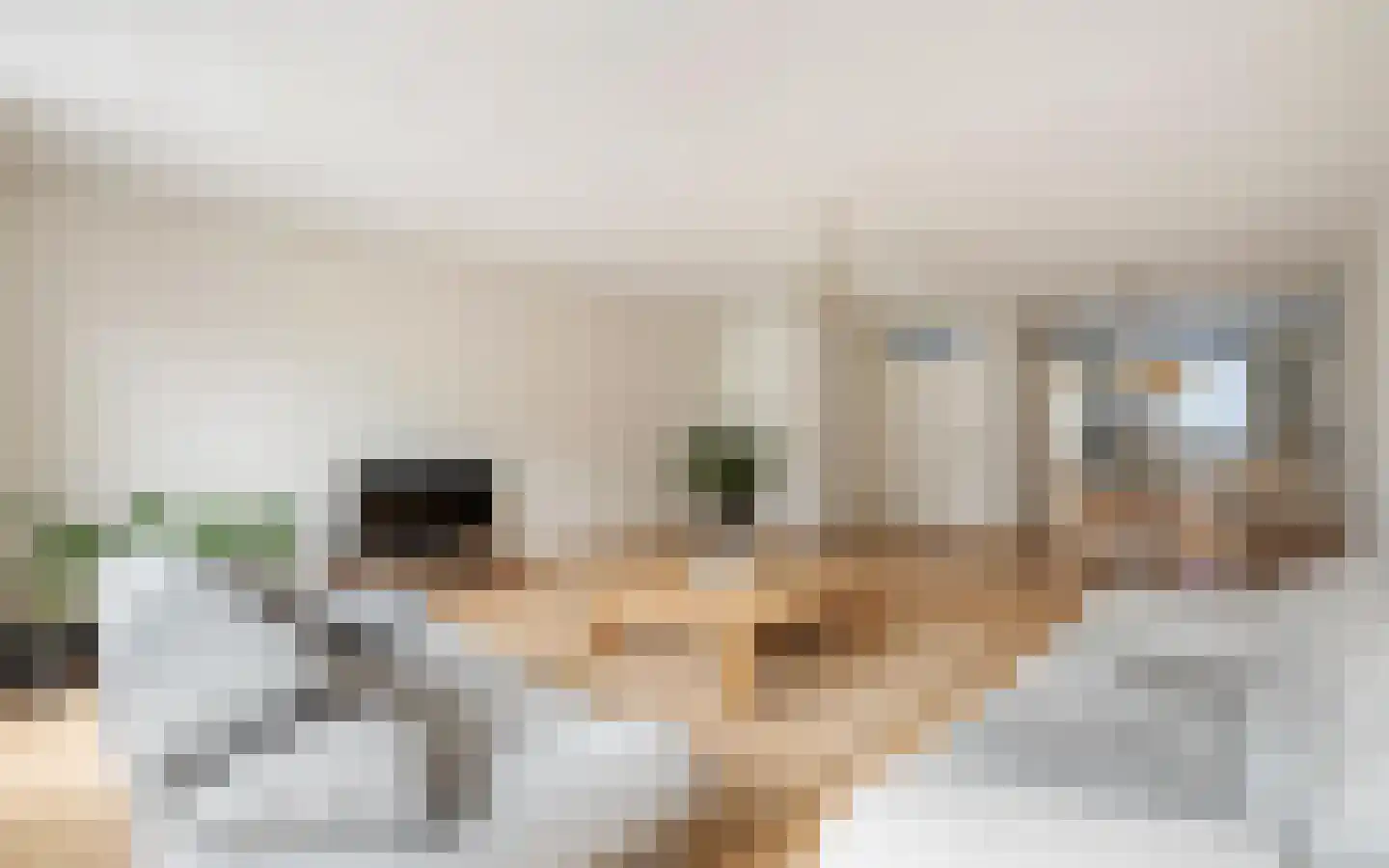Molenmaker 2 Zevenhuizen thumbnail 10