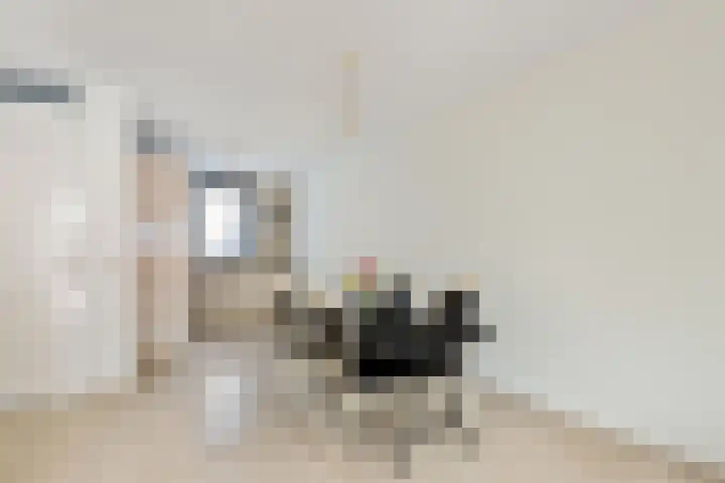 Molenmaker 2 Zevenhuizen thumbnail 11