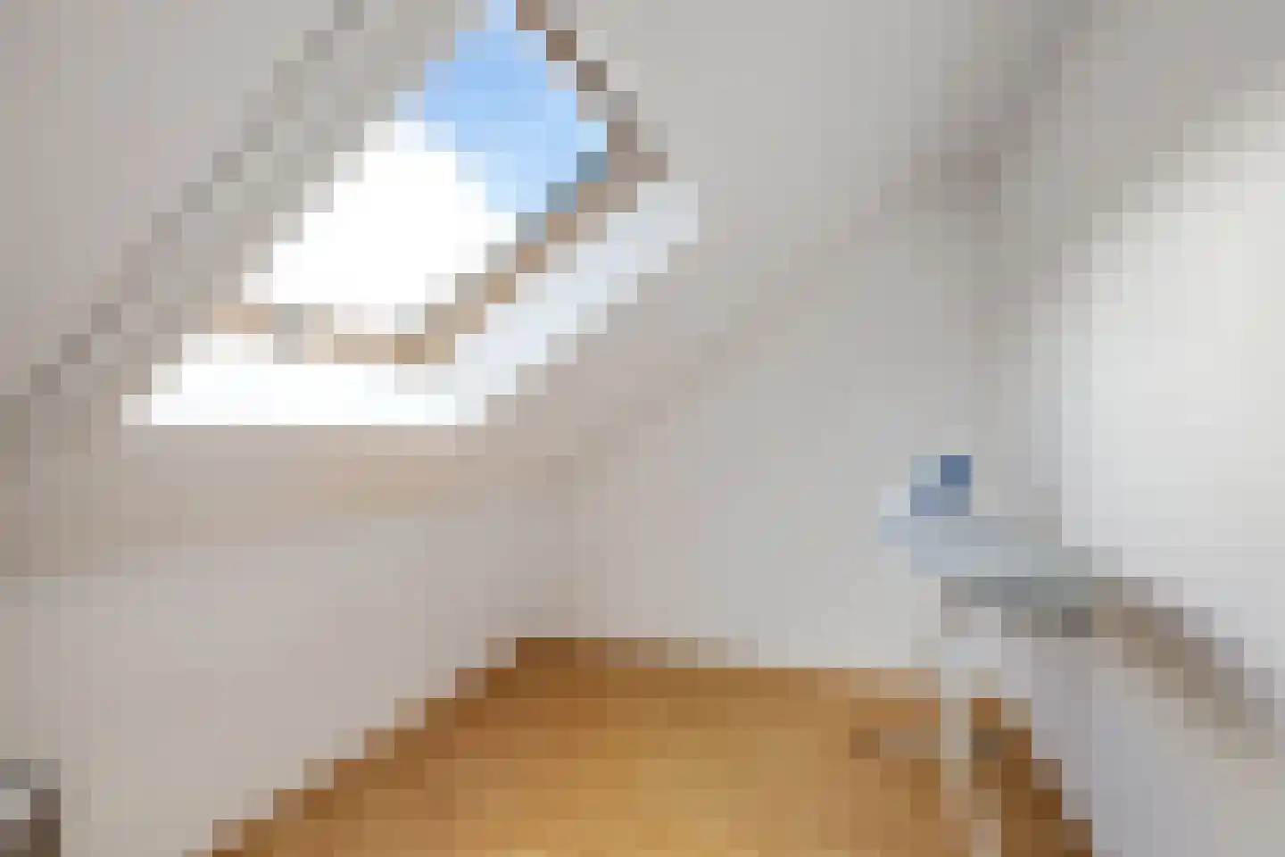 Molenmaker 2 Zevenhuizen thumbnail 22