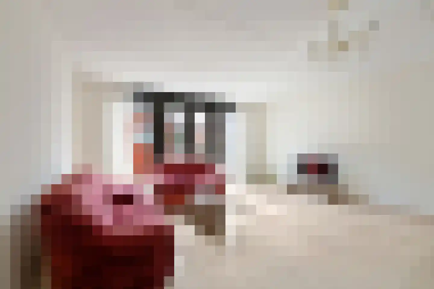 Molenmaker 2 Zevenhuizen thumbnail 4
