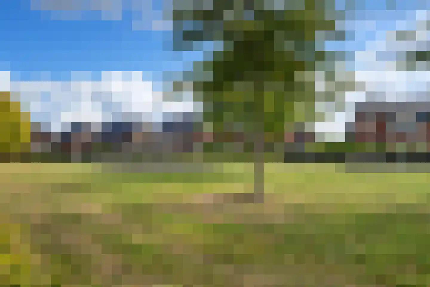 Molenmaker 2 Zevenhuizen thumbnail 6