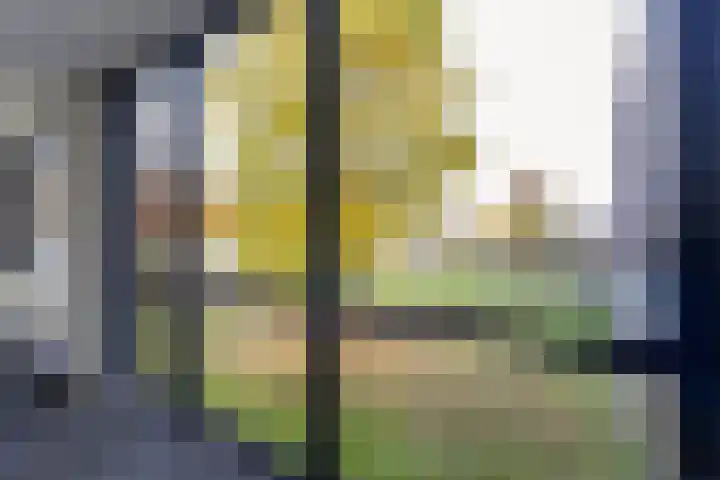 Molenpad 20 Boxtel thumbnail 12