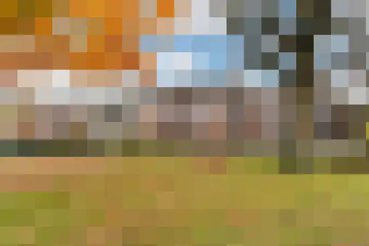 Molenpad 20 Boxtel thumbnail 44